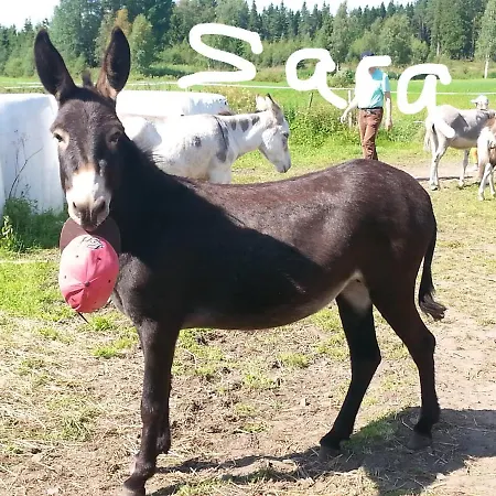 Luonto-olohuone Gasthof