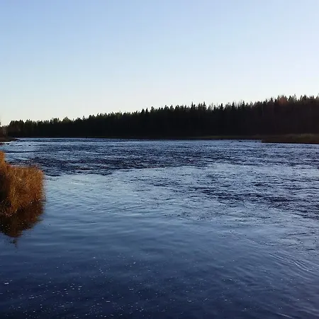 Luonto-olohuone Gasthof *