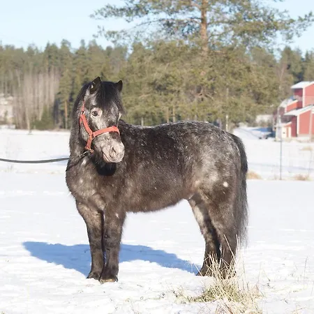 Gasthof Luonto-olohuone