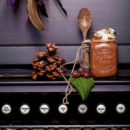 Luonto-olohuone Gasthof Yli-Ii