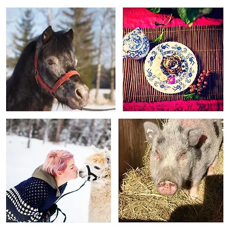 Gasthof Luonto-olohuone Yli-Ii