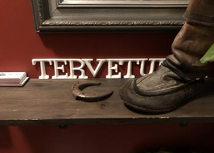 Mini-hôtel Luonto-olohuone Yli-Ii