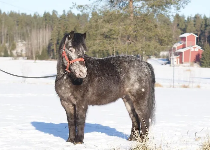 Mini-hôtel Luonto-olohuone