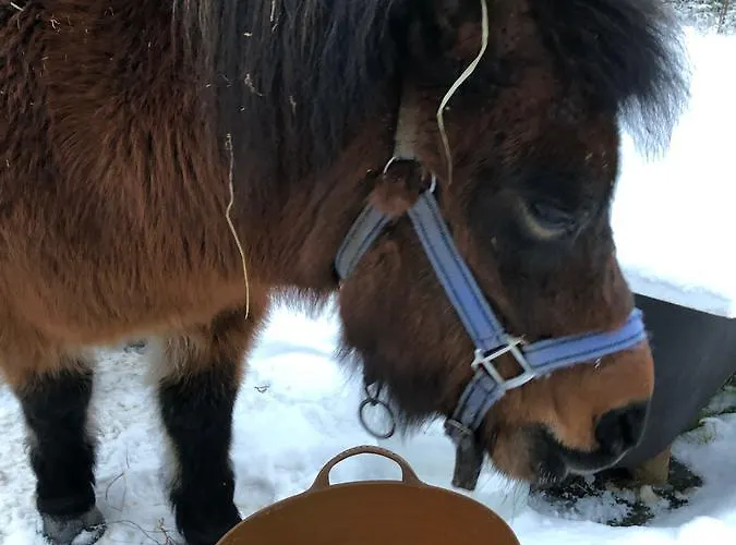 Luonto-olohuone Mini-hôtel Yli-Ii