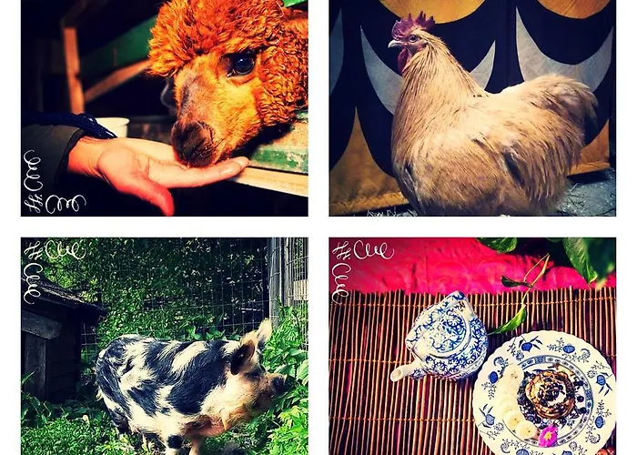 Luonto-olohuone Mini-hôtel Yli-Ii