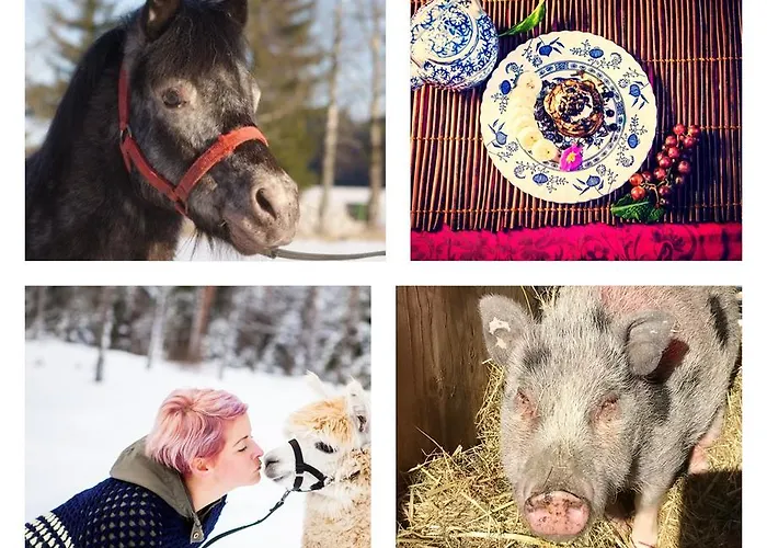 Mini-hôtel Luonto-olohuone Yli-Ii