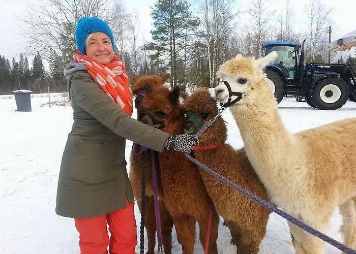 Mini-hôtel Luonto-olohuone *